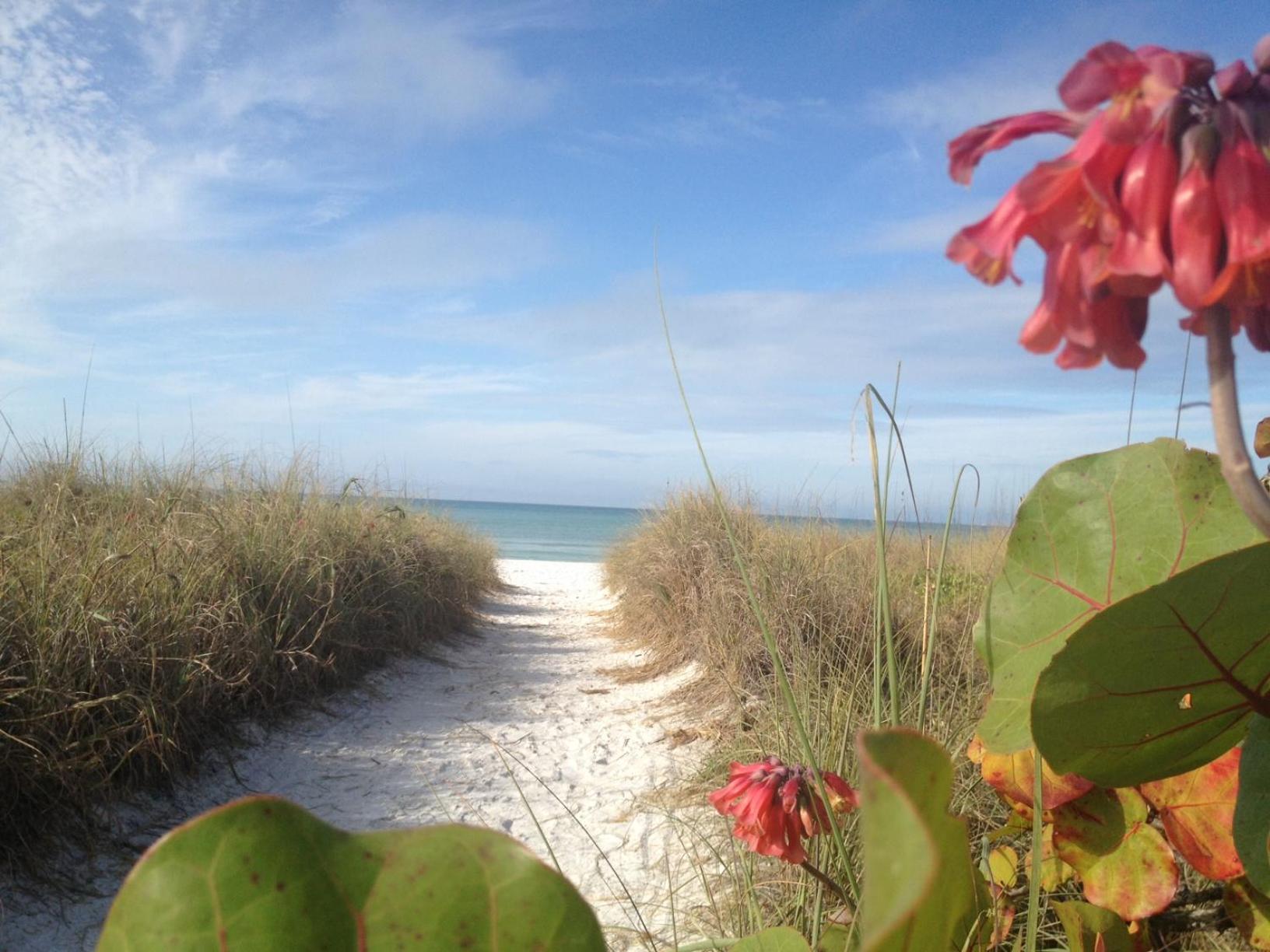 Siesta Key Inn 外观 照片